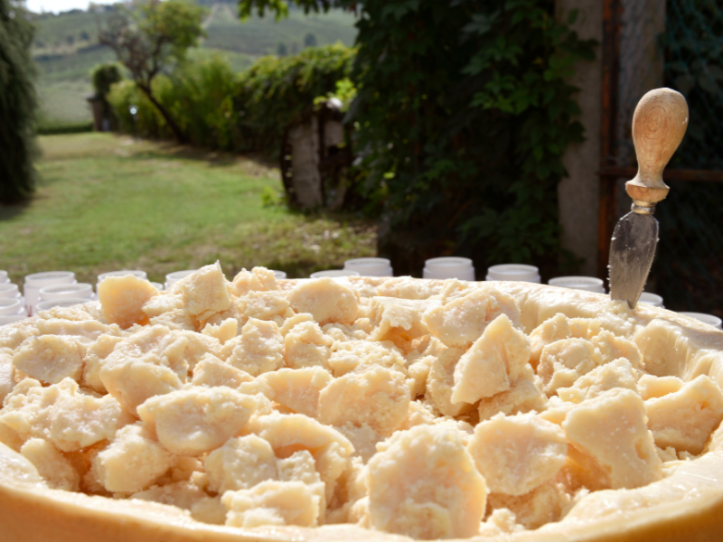 Queijo Grana Padano: características e utilizações na cozinha italiana